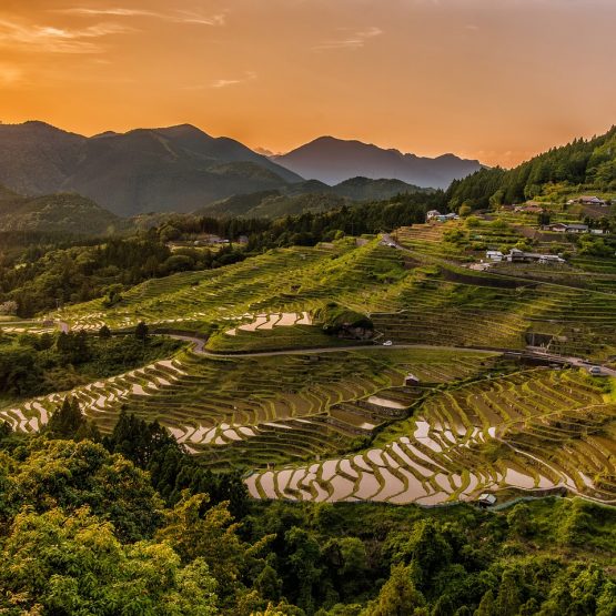 Banaue Rice Terraces