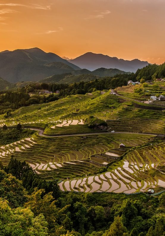 Banaue Rice Terraces