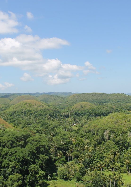 Bohol