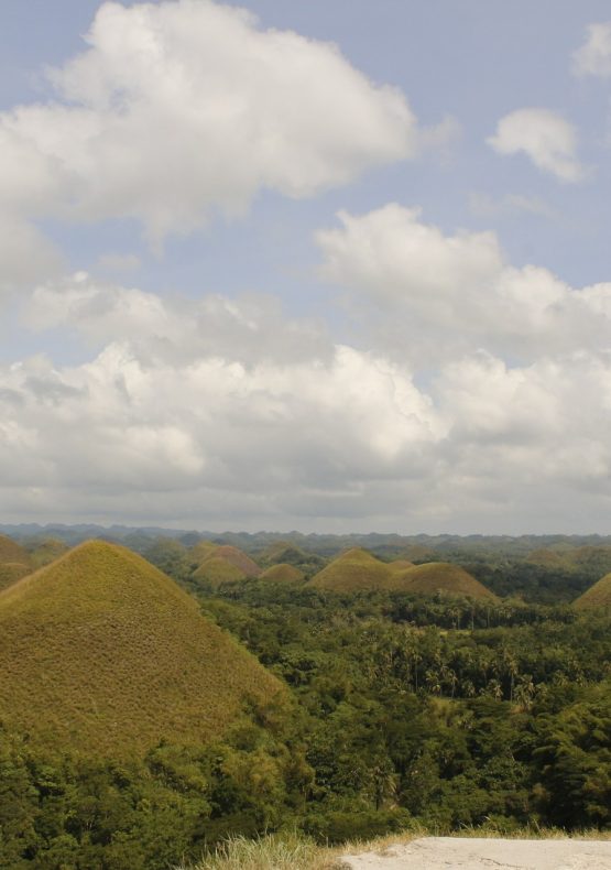 Chocolate Hills